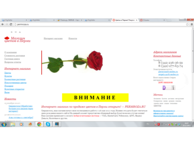 1000RUB - Certificate of Payment Online PERMROZA.RU