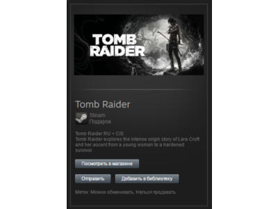 Tomb Raider 2013 (Steam, Tradable Gift, ROW)
