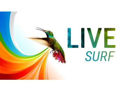10000 visits from the LiveSurf system +BONUS