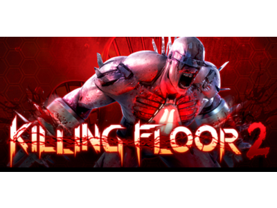 Killing Floor 2 (Steam Ключ / РФ+СНГ)💳0%