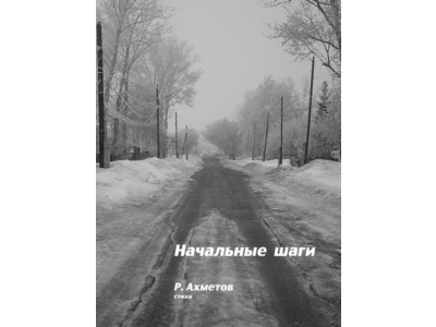 "Начальные шаги" Руслан Ахметов