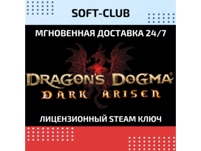 Dragon´s Dogma Dark Arisen / STEAM 🔴 NO COMMISSION