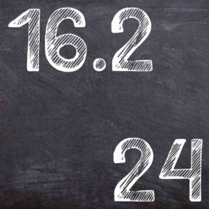 IDZ Ryabushko 16.2 Variant 24