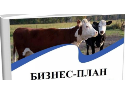Бизнес-планирование в сельском хозяйстве