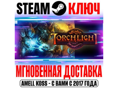 ⚫Torchlight 1 Steam Ключ РФ+Мир +Бонус