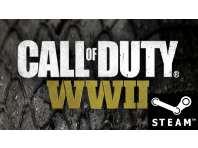 ⭐️ Call of Duty: WWII - STEAM (Region free) COD