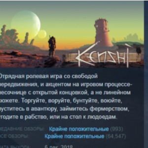 Kenshi 💎 STEAM GIFT RUSSIA