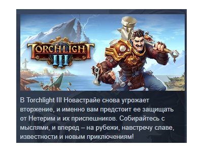 Torchlight 3 III АВТОДОСТАВКА STEAM GIFT РОССИЯ