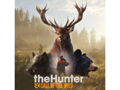 ✅the Hunter Call of the Wild + 9 DLC (Steam Key RU+CIS)