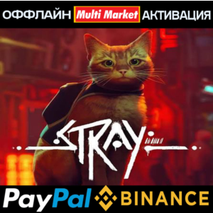 🐱🐱🐱 Stray STEAM🐱🐱🐱