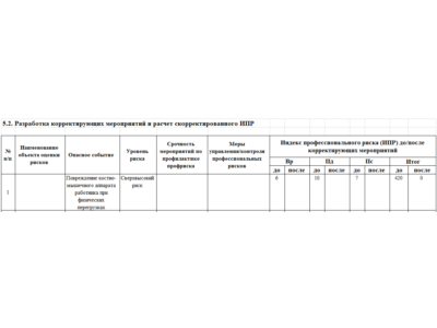 Automated .xlsm "Professional Risk assessment card"