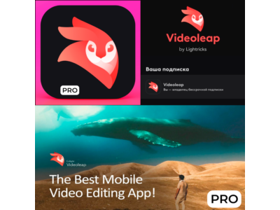 ⚡ Videoleap Видео от Lightricks PRO iPhone ios AppStore