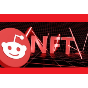 Reddit database of NFT-themed communities (100 pcs)