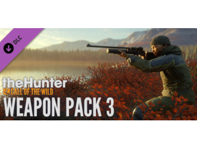 theHunter Call of the Wild - Weapon Pack 3 (STEAM KEY) GLOBAL