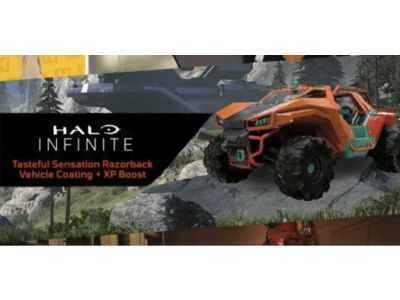 Halo Infinite - Tasteful Sensation Vehicle Coating +🎁