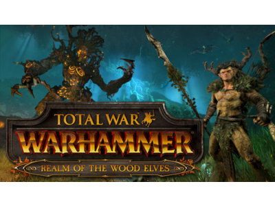 Total War Warhammer The Realm of the Wood Elves Ключ