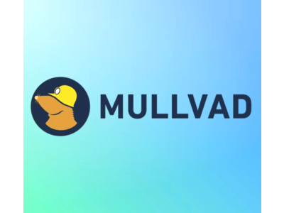 🛡️MULLVAD МУЛЛВАД🕷 Аккаунт 1 месяц 🕷