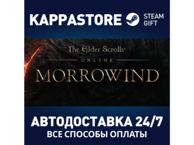 The Elder Scrolls Online Standard Edition⚡Steam RU