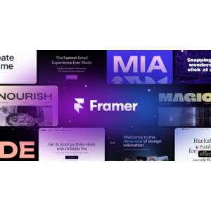 Framer | Basic, Pro - 1/12 months to your account