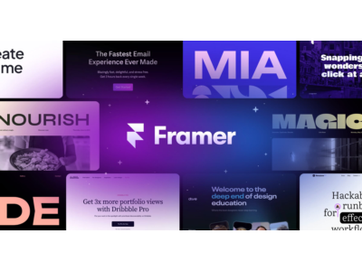 Framer | Basic, Pro - 1/12 months to your account