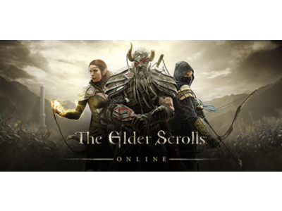 The Elder Scrolls Online аккаунт Epic + смена почты