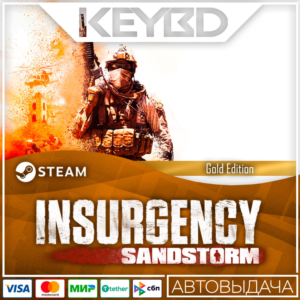 Insurgency: Sandstorm - 4-Year Edition 🚀AUTO💳0% Cards