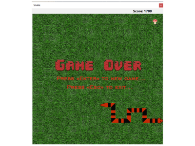 Sources of the game Snake C# Windows Forms