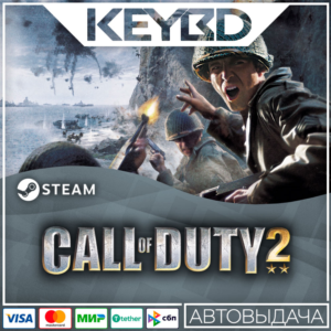 Call of Duty 2 · Steam Gift🚀AUTO💳0% Cards