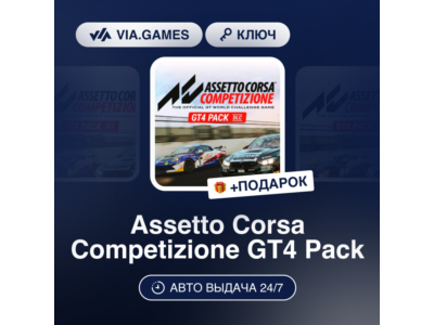 💥 Assetto Corsa Competizione - GT4 Pack 🍳 Steam DLC