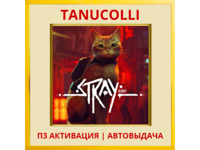 ☀️ Stray (PS4/PS5/RU) П3 - Активация