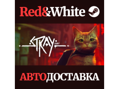 Stray * STEAM РОССИЯ🔥АВТОДОСТАВКА