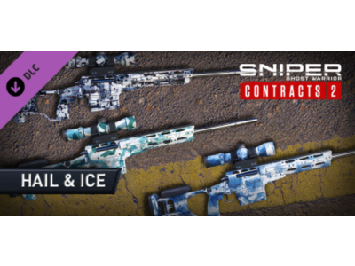 Sniper Ghost Warrior Contracts 2 - Hail & Ice Skin Pack (Steam Gift RU)