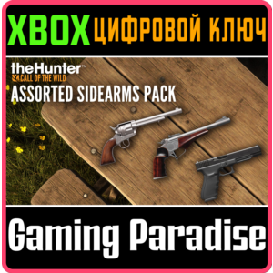 THEHUNTER CALL OF THE WILD™ - ASSORTED SIDEARMS PACK