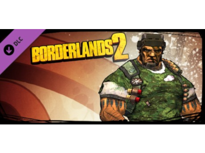 Borderlands 2: Gunzerker Domination Pack Steam Gift RU