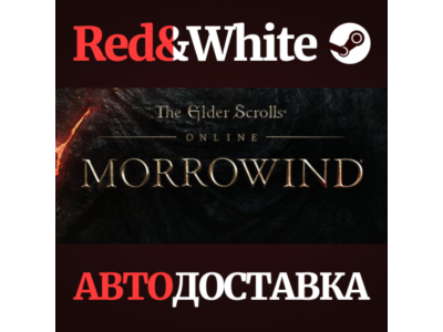The Elder Scrolls Online Standard Edition * STEAM RU🔥