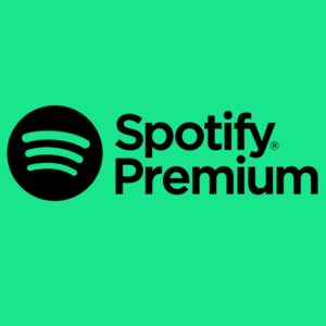 🏆💚3/6/12 MONTHS SPOTIFY🔥PREMIUM🚀WORKS RUSSIA🎶🔝
