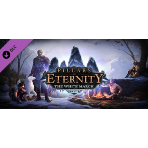 Pillars of Eternity - The White March Part I Steam Gift