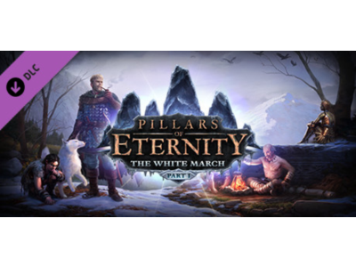 Pillars of Eternity - The White March Part I (Steam Gift RU)