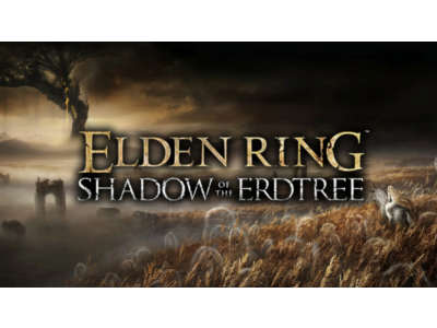 ⚔️ER:Shadow of the Erdtree Premium Bundle⚔️STEAM GIFT⚔️