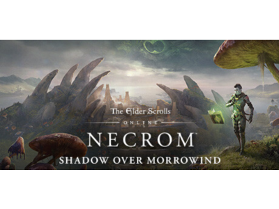 🎮TESO: Necrom КЛЮЧ 🔑STEAM/ESO🟠ВСЕ ИЗДАНИЯ+🎁