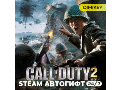 🟨 Call of Duty 2 (2005) Автогифт RU/KZ/UA/CIS