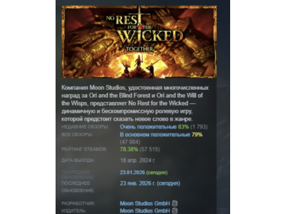 No Rest for the Wicked АВТОДОСТАВКА STEAM РОССИЯ