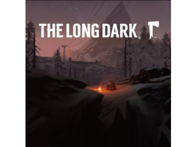 ✅The Long Dark  PS Турция На ВАШ аккаунт! 🔥