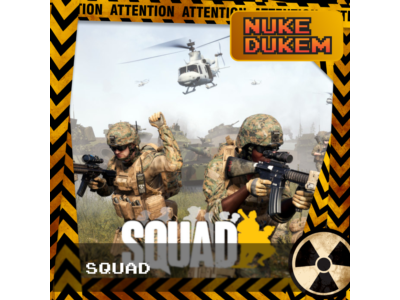РФ+СНГ | SQUAD Standart/Commander | STEAM KEY