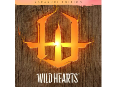 ✅WILD HEARTS PS Türkiye To YOUR account!🔥