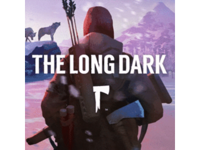 🔴 The Long Dark❗️PS4/PS5 🔴 Турция