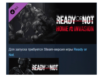 Ready or Not: Home Invasion DLC АВТОДОСТАВКА STEAM РОССИЯ