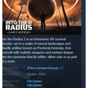 Into the Radius 2 💎 АВТОДОСТАВКА STEAM GIFT РОССИЯ
