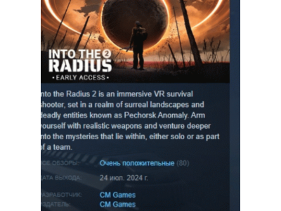 Into the Radius 2 💎 АВТОДОСТАВКА STEAM GIFT РОССИЯ