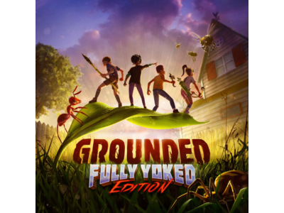 Grounded PS4® & PS5® PSN PLAYSTATION
